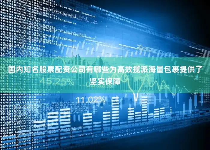 国内知名股票配资公司有哪些为高效揽派海量包裹提供了坚实保障