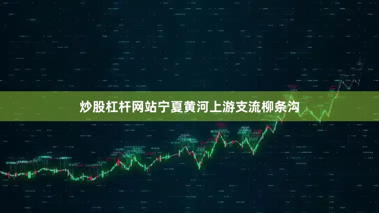 炒股杠杆网站宁夏黄河上游支流柳条沟